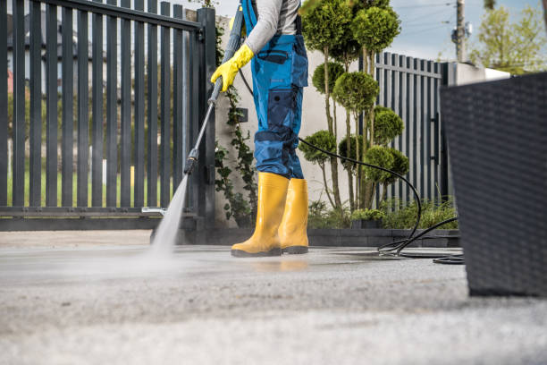 Local Pressure Washing Services in North Puyallup, WA